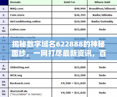 揭秘數(shù)字域名622888的神秘面紗，一網(wǎng)打盡最新資訊，百度直達！