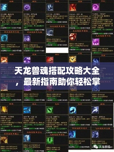天龍獸魂搭配攻略大全，最新指南助你輕松掌握搭配技巧！