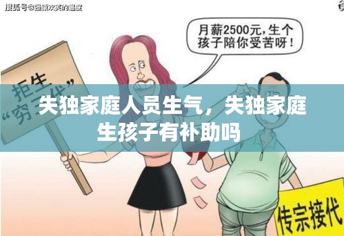 失獨家庭人員生氣，失獨家庭生孩子有補助嗎 