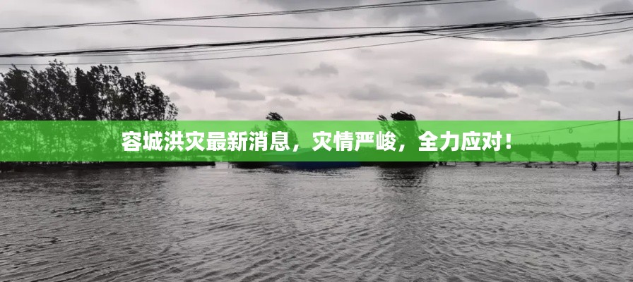 容城洪災最新消息，災情嚴峻，全力應對！