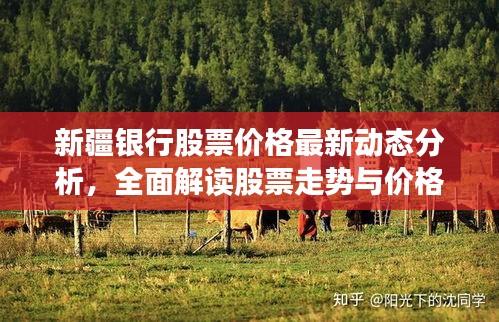 新疆銀行股票價格最新動態(tài)分析，全面解讀股票走勢與價格表