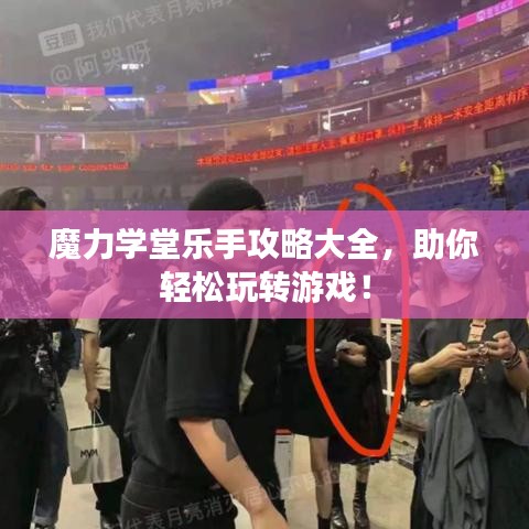 魔力學(xué)堂樂手攻略大全，助你輕松玩轉(zhuǎn)游戲！