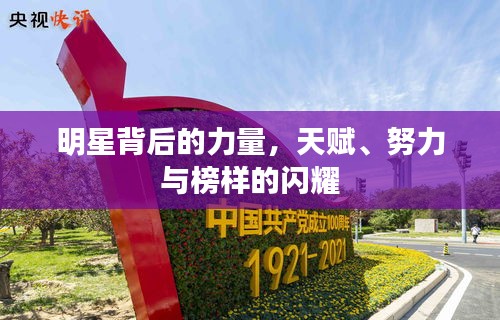 明星背后的力量，天賦、努力與榜樣的閃耀