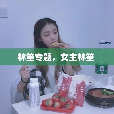 林笙專題，女主林笙 
