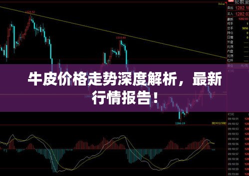 牛皮價(jià)格走勢(shì)深度解析，最新行情報(bào)告！