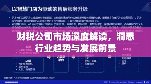 財稅公司市場深度解讀，洞悉行業(yè)趨勢與發(fā)展前景