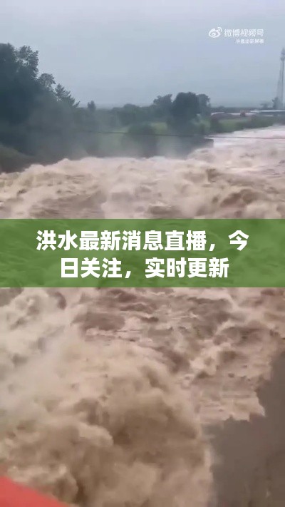 洪水最新消息直播，今日關(guān)注，實時更新
