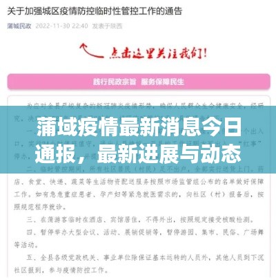 蒲域疫情最新消息今日通報(bào)，最新進(jìn)展與動(dòng)態(tài)關(guān)注