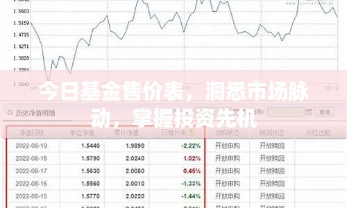 今日基金售價表，洞悉市場脈動，掌握投資先機