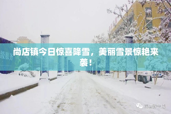 尚店鎮(zhèn)今日驚喜降雪，美麗雪景驚艷來襲！