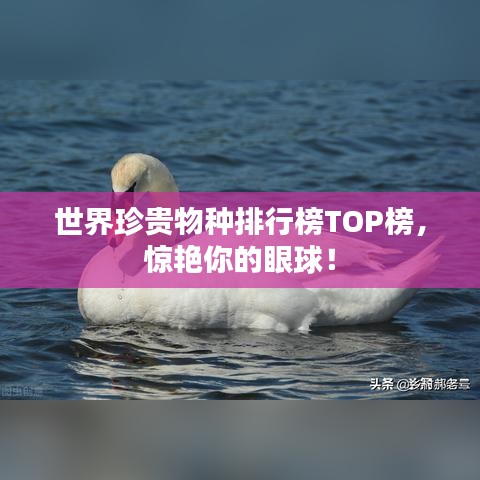 虎背熊腰 第2頁(yè)