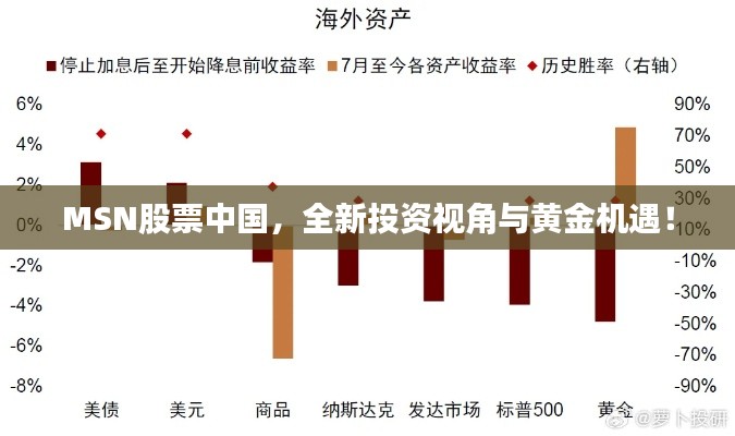 MSN股票中國，全新投資視角與黃金機(jī)遇！