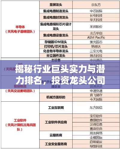 揭秘行業(yè)巨頭實(shí)力與潛力排名，投資龍頭公司的首選參考