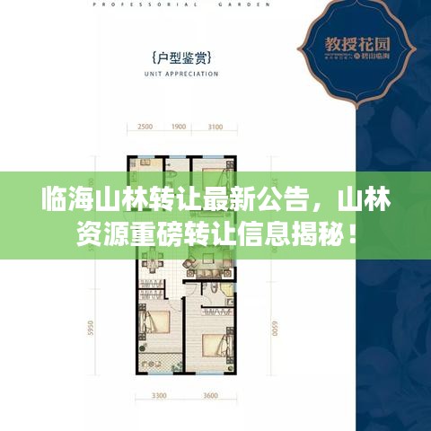 臨海山林轉(zhuǎn)讓最新公告，山林資源重磅轉(zhuǎn)讓信息揭秘！