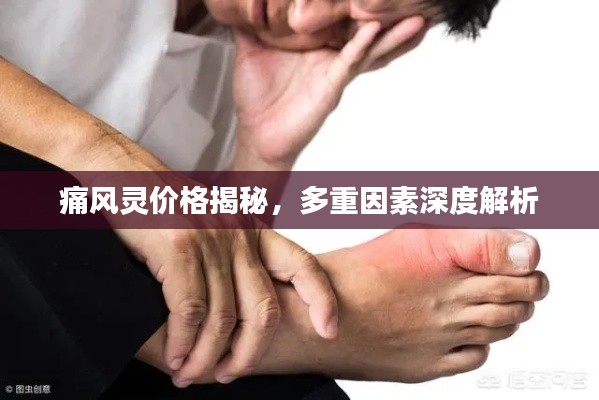 痛風(fēng)靈價格揭秘，多重因素深度解析