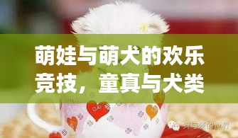 萌娃與萌犬的歡樂(lè)競(jìng)技，童真與犬類(lèi)互動(dòng)的美好瞬間視頻