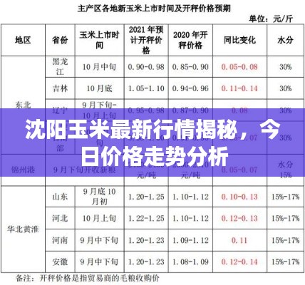 沈陽玉米最新行情揭秘，今日價格走勢分析