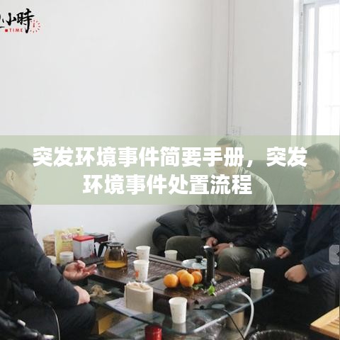 突發(fā)環(huán)境事件簡要手冊，突發(fā)環(huán)境事件處置流程 