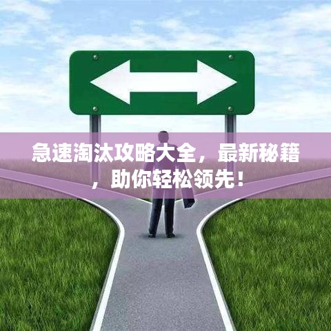 急速淘汰攻略大全，最新秘籍，助你輕松領(lǐng)先！