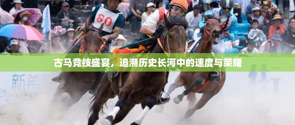 古馬競技盛宴，追溯歷史長河中的速度與榮耀
