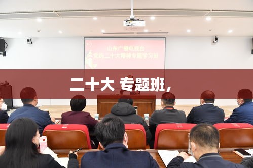二十大 專題班， 