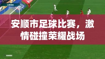 安順市足球比賽，激情碰撞榮耀戰(zhàn)場