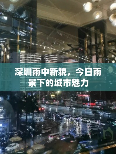 深圳雨中新貌，今日雨景下的城市魅力