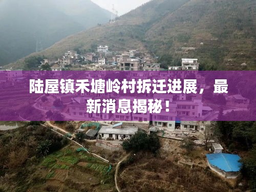 陸屋鎮(zhèn)禾塘嶺村拆遷進展，最新消息揭秘！