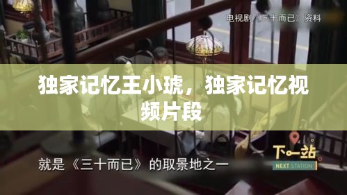 獨(dú)家記憶王小琥，獨(dú)家記憶視頻片段 