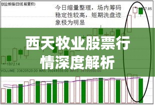 lianlianbushe 第2頁