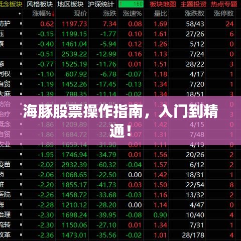 海豚股票操作指南，入門到精通！