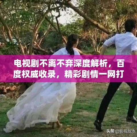 電視劇不離不棄深度解析，百度權(quán)威收錄，精彩劇情一網(wǎng)打盡！