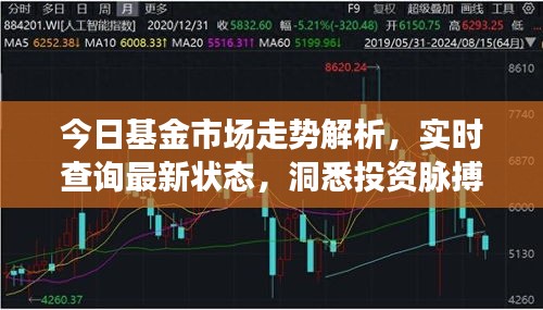 今日基金市場走勢解析，實時查詢最新狀態(tài)，洞悉投資脈搏，把握財富機遇！