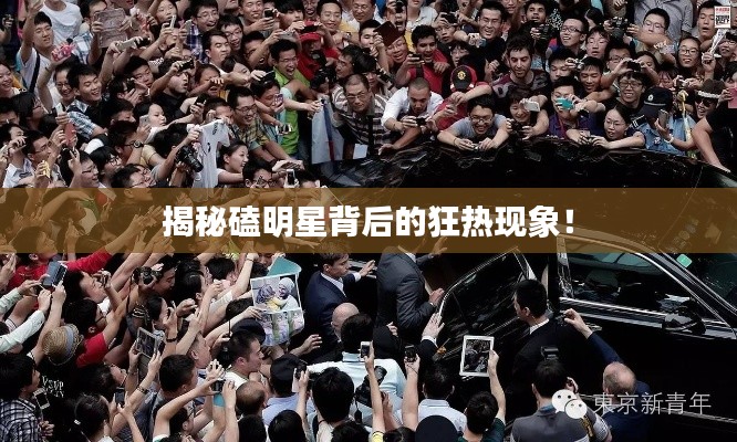 揭秘磕明星背后的狂熱現(xiàn)象！
