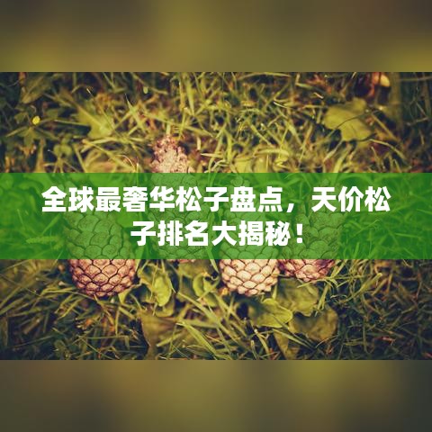 全球最奢華松子盤點，天價松子排名大揭秘！
