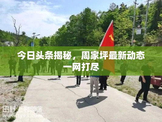 今日頭條揭秘，周家坪最新動(dòng)態(tài)一網(wǎng)打盡