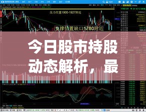 今日股市持股動(dòng)態(tài)解析，最新策略與趨勢(shì)分析