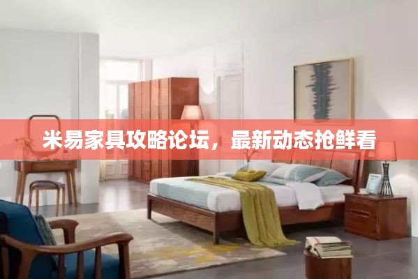 米易家具攻略論壇，最新動(dòng)態(tài)搶鮮看