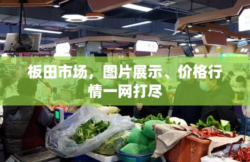 板田市場，圖片展示、價格行情一網(wǎng)打盡