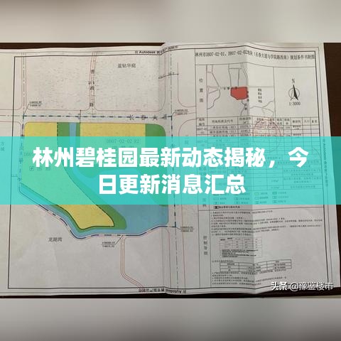 林州碧桂園最新動(dòng)態(tài)揭秘，今日更新消息匯總