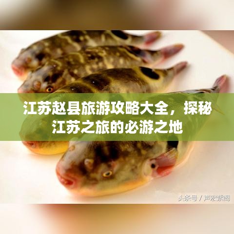 江蘇趙縣旅游攻略大全，探秘江蘇之旅的必游之地