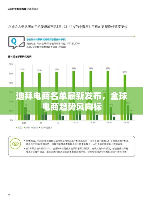迪拜電商名單最新發(fā)布，全球電商趨勢風(fēng)向標(biāo)