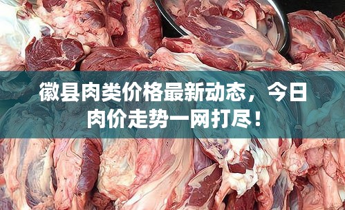 徽縣肉類價(jià)格最新動(dòng)態(tài)，今日肉價(jià)走勢(shì)一網(wǎng)打盡！
