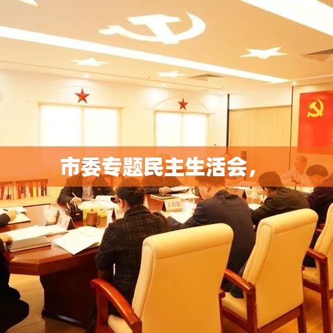 市委專題民主生活會(huì)， 