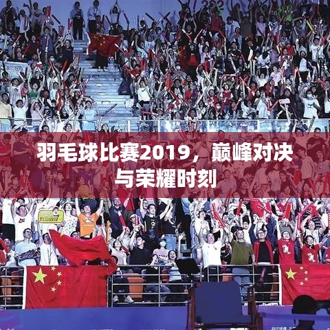 羽毛球比賽2019，巔峰對決與榮耀時刻