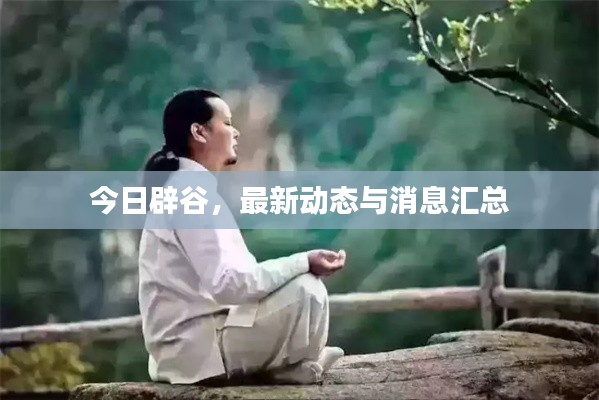 今日辟谷，最新動(dòng)態(tài)與消息匯總