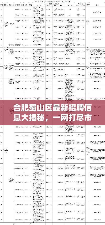 合肥蜀山區(qū)最新招聘信息大揭秘，一網(wǎng)打盡市區(qū)各大企業(yè)職位空缺