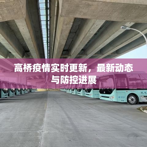 高橋疫情實時更新，最新動態(tài)與防控進展