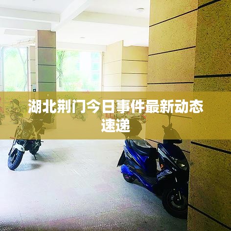 zhangfeichuanzhen 第2頁(yè)