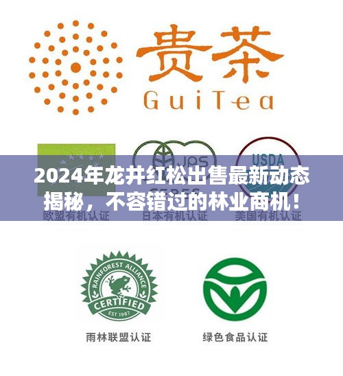 2024年龍井紅松出售最新動態(tài)揭秘，不容錯過的林業(yè)商機！